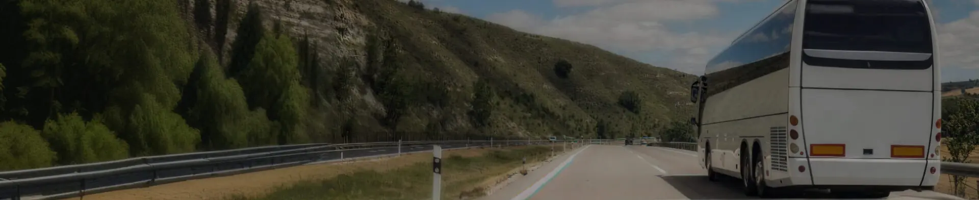 Your Trusted Partner for Coach Hire