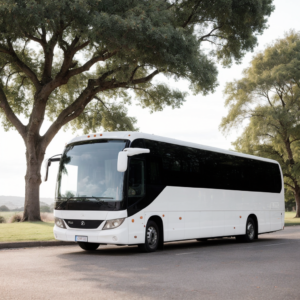 wedding coach 