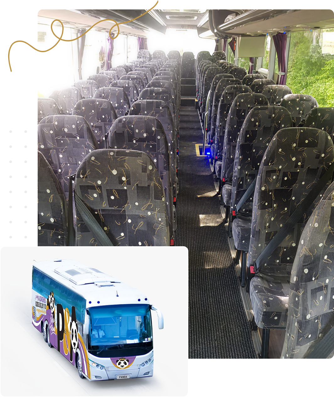 Panda Coaches Interior